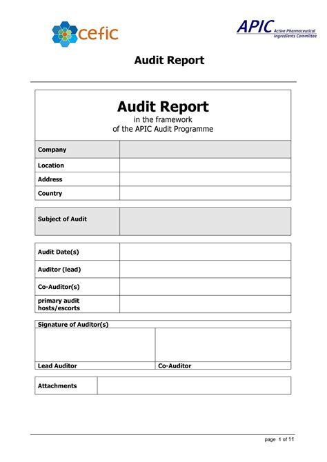 template for audit findings report
